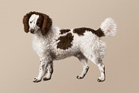 Water spaniel psd dog illustration, remixed from artworks by George Stubbs