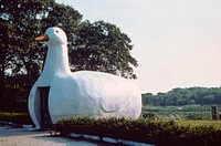 Long Island duck, Long Island, New York (1972-2008) photography in high resolution by John Margolies. Original from the Library of Congress. Digitally enhanced by rawpixel.