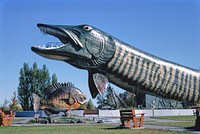 Giant pike side view, Fishing Hall of Fame, Hayward, Wisconsin, Hayward, Wisconsin (1988) photography in high resolution by John Margolies. Original from the Library of Congress. Digitally enhanced by rawpixel.