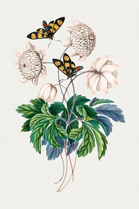 Botanical flower, butterfly sticker psd, remixed from artworks by James Bolton