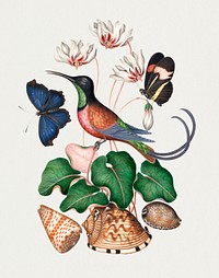 Bird, butterfly, botanical flower sticker psd, remixed from artworks by James Bolton