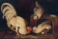 Farmyard Fowls (ca. 1827) painting in high resolution by John James Audubon. Original from the National Gallery of Art. Digitally enhanced by rawpixel.