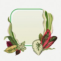 Leaf frame, aesthetic green botanical illustration psd