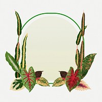 Leaf frame, aesthetic green botanical illustration psd