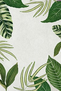 Leaf frame, aesthetic green botanical illustration psd