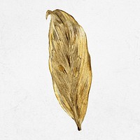 Gold leaf illustration, aesthetic nature graphic