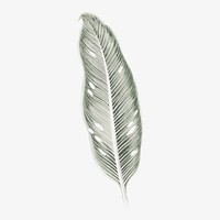 Silver leaf illustration, aesthetic nature graphic vector