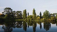 Landscape desktop wallpaper background, green trees by a lake