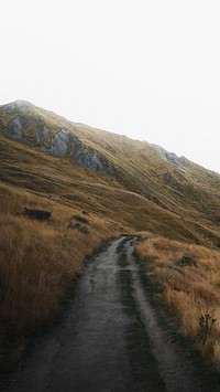 Nature mobile wallpaper background, scenic route leading to a mountain