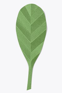 Paper craft alder leaf psd mockup