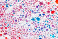 Abstract background colorful oil bubble in water wallpaper