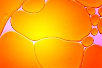 Orange abstract background  oil bubble texture wallpaper