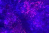 Neon pink and blue bubble art on purple background abstract style