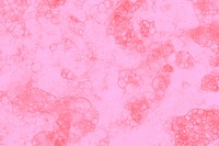 Pink bubble art on pink background feminine style