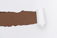 Torn paper white background simple handmade craft