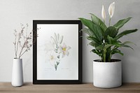 Dark modern picture frame on a shelf with plants 