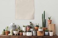 Blank canvas poster hanging over a shelf full of cacti and succulents