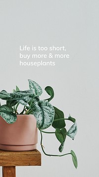 Houseplant quote template vector, life is short buy more and more houseplants