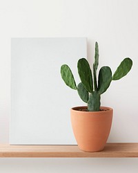 Blank canvas and cactus on a shelf