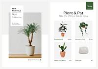 Houseplant poster template vector set for indoor gardening