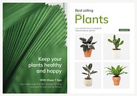 Plant shop template vector with houseplants