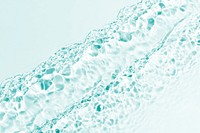 Water wave texture background, green design