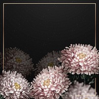 Aster border frame vector on black background