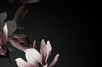 Magnolia border vector dramatic flower background