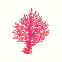 Vintage pink gorgonian coral psd illustration, remixed from public domain artworks