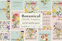 Editable beautiful floral template vector ad poster set