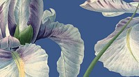 Colorful floral HD wallpaper vector with iris illustration, remixed from public domain artworks