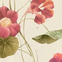 Vintage spring flower background vector illustration, remixed from public domain artworks