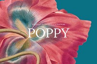 Floral web banner template vector with poppy background, remixed from public domain artworks