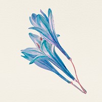 Vintage blue triplet lily flower psd illustration, remixed from public domain artworks