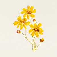 Vintage yellow flower psd illustration, remixed from public domain artworks