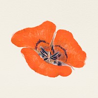 Vintage flower psd illustration, remixed from public domain artworks