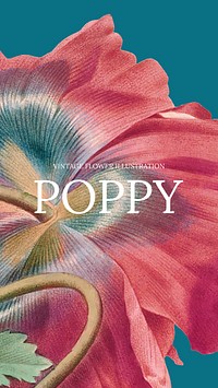 Floral template vector with poppy background, remixed from public domain artworks