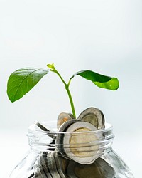 Green economy jar psd with money and growing plant