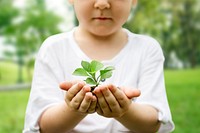 Boy holding plant closeup shot for environment campaign