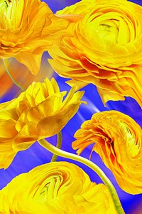 Aesthetic background wallpaper, yellow flower trippy abstract design