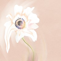 Flower background, pink and white anemone psychedelic art