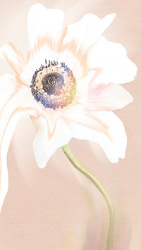 Flower background, pink and white anemone psychedelic art