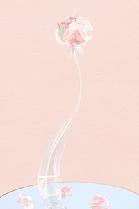 Abstract background wallpaper, pink rose flower