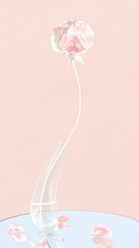 Abstract background wallpaper, pink rose flower