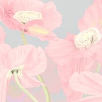 Floral background, pink poppy psychedelic art