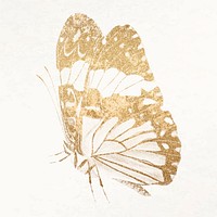 Gold butterfly illustration vector, remixed from vintage public domain images