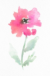 Pink poppy flower watercolor psd spring seasonal graphic