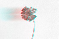 Flower wallpaper anaglyph 3D background