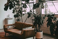 Aesthetic living room with houseplant decorations, home interior