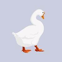 White goose, bird illustration, animal clipart vector